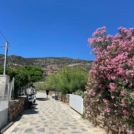 Sifnos - Vathy Appartement